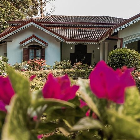 Kithulvilla Holiday Bungalow Kitulgala Ngoại thất bức ảnh